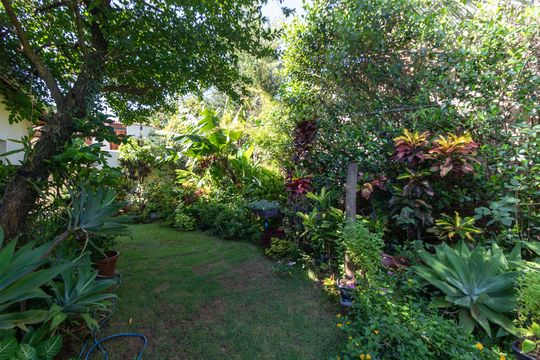 Quintal de casa à venda com 3 quartos, 254m² em Cidade Universitária Ii, Campinas