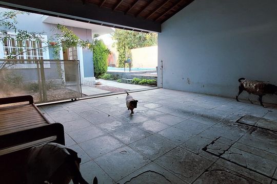 Casa à venda com 4 quartos, 423m² em Jardim Isabel, Porto Alegre