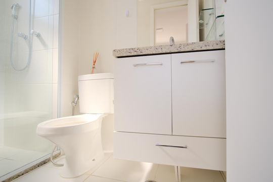 Banheiro da Suíte de apartamento para alugar com 2 quartos, 60m² em Vila Gomes Cardim, São Paulo