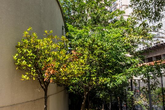 Área comum de apartamento à venda com 2 quartos, 90m² em Alphaville Empresarial, Barueri
