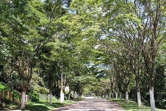 Casa de Condomínio à venda com 3 quartos, 238m² em Loteamento Capital Ville, Jundiaí