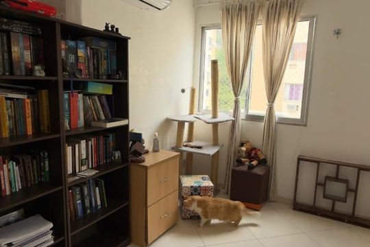Apartamento à venda com 2 quartos, 55m² em Grajaú, Rio de Janeiro