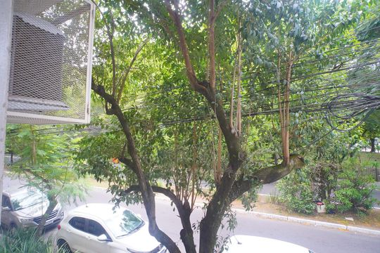 QUARTO 3-VISTA  de apartamento à venda com 3 quartos, 127m² em Santana, Porto Alegre