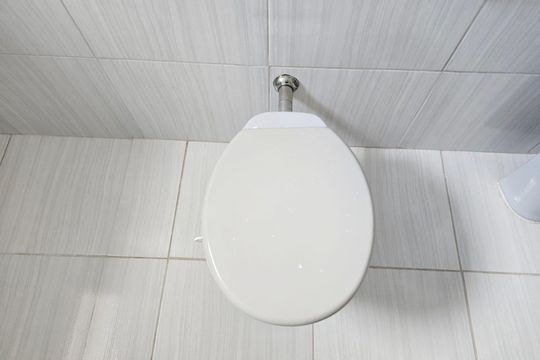 Banheiro Social de casa para alugar com 1 quarto, 80m² em Parque Primavera, Guarulhos