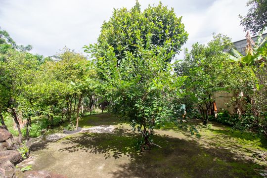 Quintal de casa à venda com 4 quartos, 1260m² em Solar do Madeira, Contagem