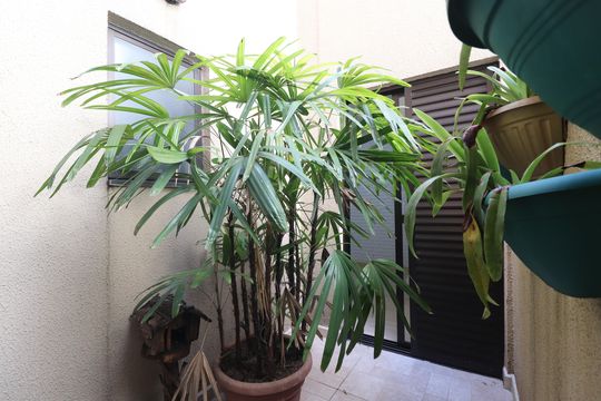 Espaço Garden de apartamento à venda com 3 quartos, 85m² em Parque das Nações, Santo André