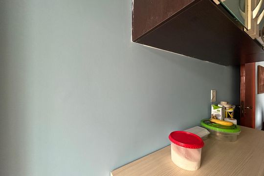 Cozinha de apartamento para alugar com 2 quartos, 44m² em Vila Cruz das Almas, São Paulo