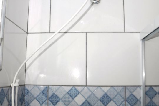 Detalhe - Banheiro Social de casa para alugar com 1 quarto, 60m² em Jardim Vivan, São Paulo