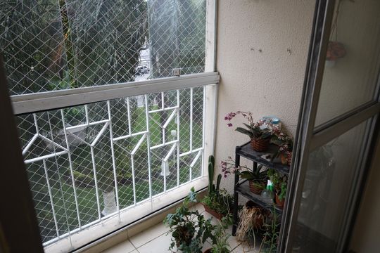 Apartamento à venda com 3 quartos, 72m² em Vila Isa, São Paulo