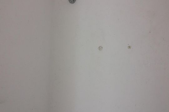 Lavabo 2 de casa para alugar com 5 quartos, 260m² em Jardim do Mar, São Bernardo do Campo