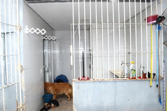 Varanda de casa à venda com 3 quartos, 360m² em São Gabriel, Belo Horizonte