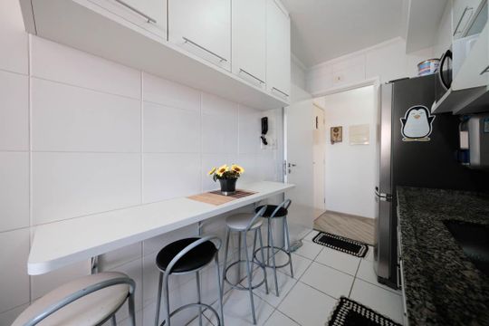 Apartamento à venda com 2 quartos, 55m² em Vila Marieta, São Paulo
