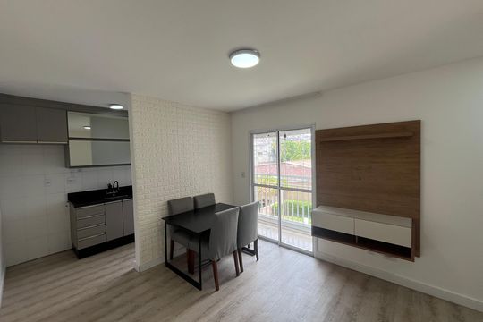 Sala  de apartamento para alugar com 2 quartos, 49m² em Vila Carmosina, São Paulo