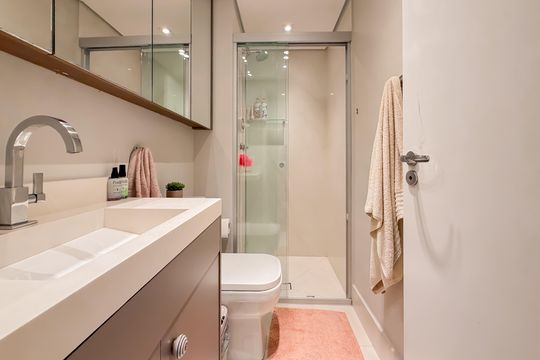 Banheiro de apartamento para alugar com 2 quartos, 50m² em Cambuci, São Paulo