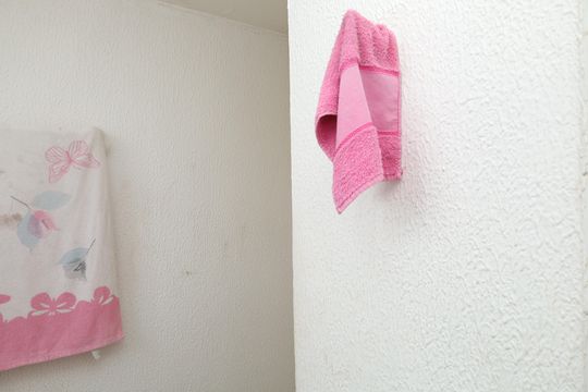 Banheiro de apartamento para alugar com 2 quartos, 42m² em Colônia (zona Leste), São Paulo