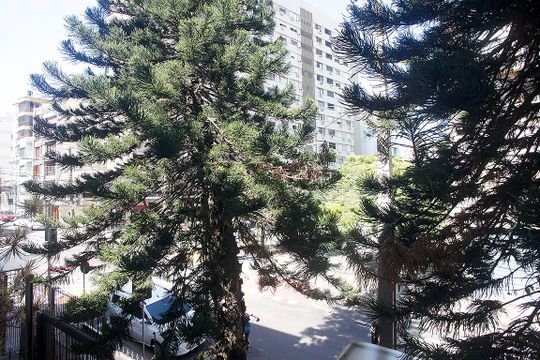 Quarto 2 Vista de apartamento à venda com 3 quartos, 115m² em Floresta, Porto Alegre
