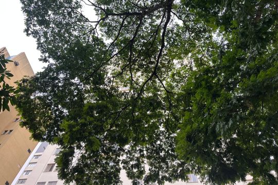 Fachada do Prédio de apartamento para alugar com 4 quartos, 180m² em Perdizes, São Paulo