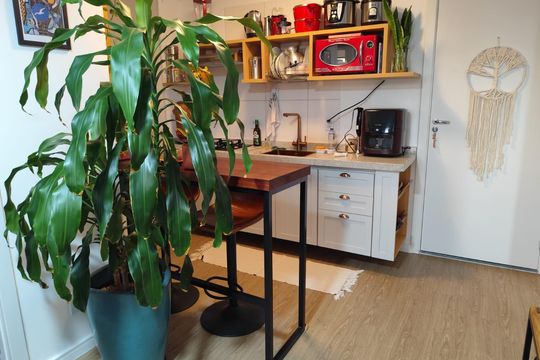 Cozinha de apartamento para alugar com 2 quartos, 36m² em Várzea da Barra Funda, São Paulo
