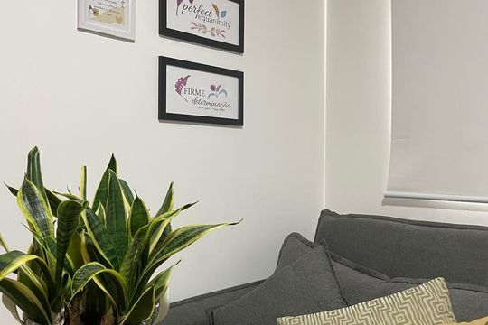 Sala de apartamento para alugar com 2 quartos, 36m² em Várzea da Barra Funda, São Paulo