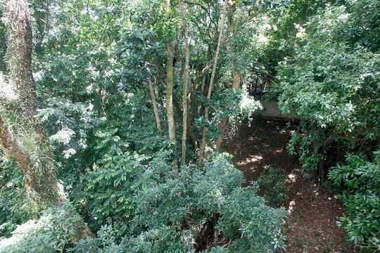 Área Comum - Área Verde Reserva Mata Nativa de apartamento à venda com 3 quartos, 104m² em Mont’serrat, Porto Alegre