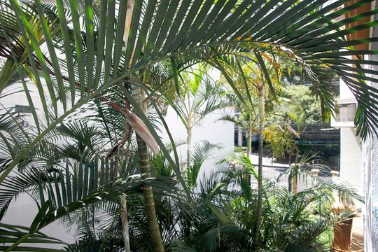 Sala Vista de apartamento à venda com 3 quartos, 104m² em Mont’serrat, Porto Alegre