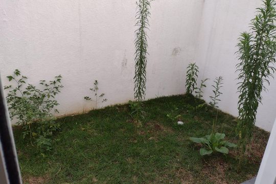 Área externa de kitnet/studio para alugar com 1 quarto, 25m² em Vila Ema, São Paulo