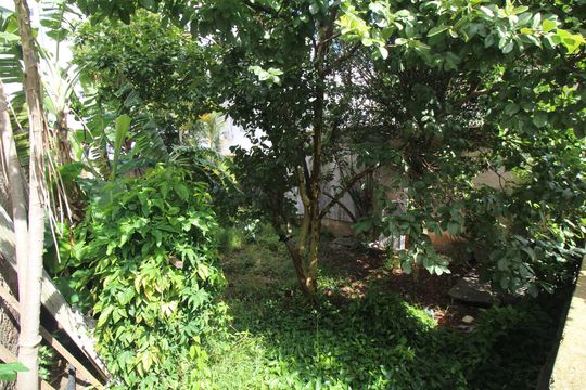 Quintal/Piscina/Jardim de casa à venda com 4 quartos, 316m² em Vila Formosa, São Paulo