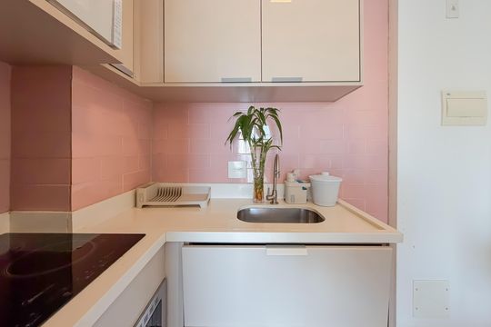 Cozinha de apartamento para alugar com 1 quarto, 35m² em Cambuci, São Paulo