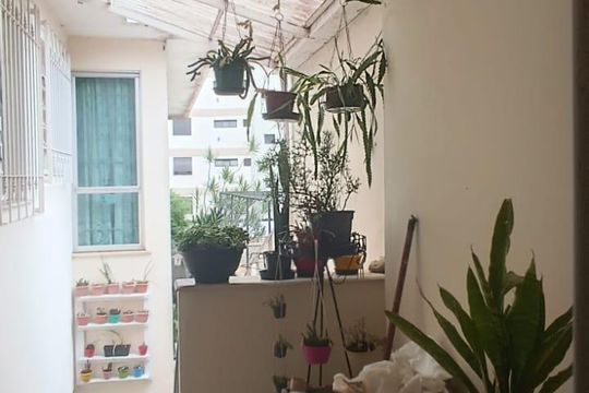 Casa à venda com 3 quartos, 246m² em Centro, São Bernardo do Campo