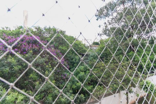 Vista de apartamento à venda com 2 quartos, 46m² em Conjunto Residencial José Bonifácio, São Paulo