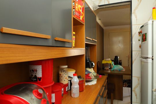 Cozinha de apartamento para alugar com 2 quartos, 58m² em Conjunto Residencial José Bonifácio, São Paulo