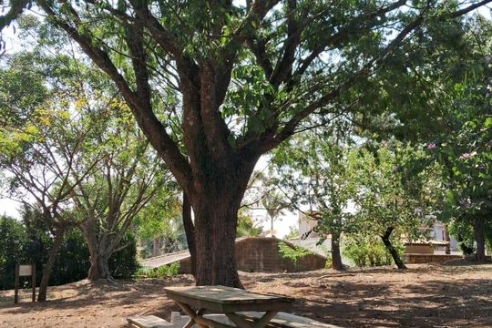 Área comum - Jardim de casa de condomínio à venda com 4 quartos, 300m² em Jardim Caxambu, Jundiaí