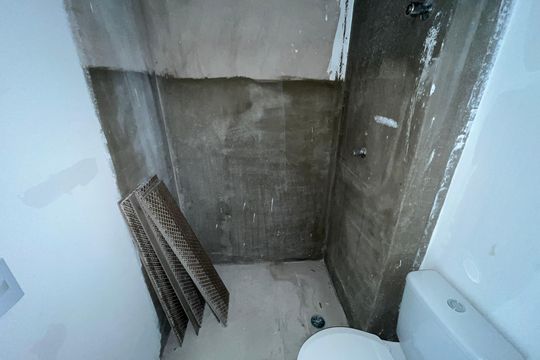 Banheiro de apartamento para alugar com 2 quartos, 53m² em Santana, São Paulo