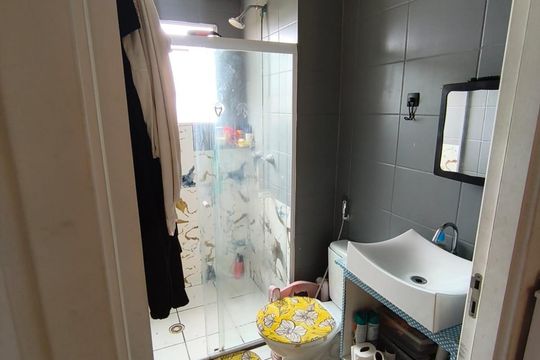 Banheiro de apartamento para alugar com 2 quartos, 50m² em Jardim do Lago Continuacao, Campinas