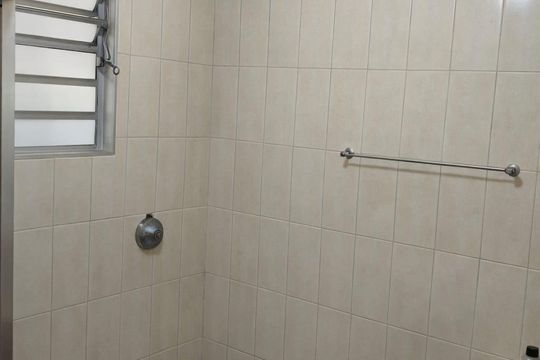 Banheiro de apartamento à venda com 2 quartos, 60m² em Jardim Leonor Mendes de Barros, São Paulo