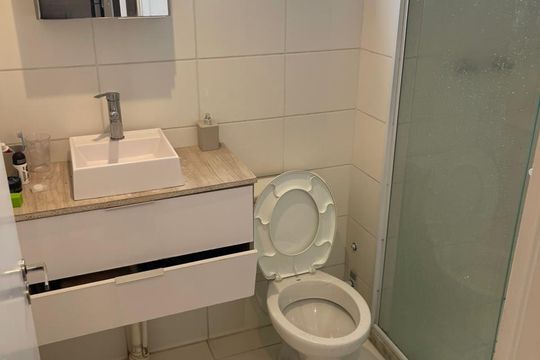 Banheiro de apartamento para alugar com 2 quartos, 55m² em Vila Itapegica, Guarulhos