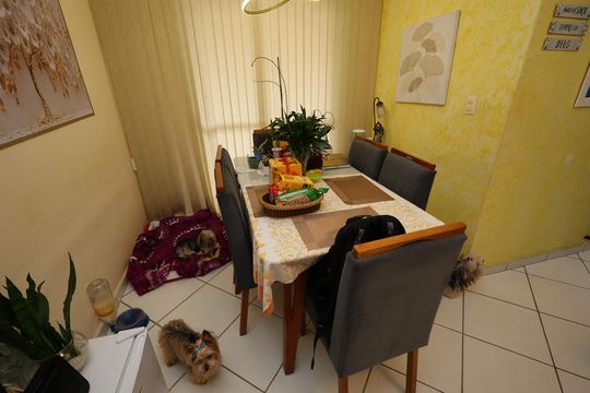 Sala de Jantar de apartamento à venda com 3 quartos, 73m² em Jardim do Estádio, Santo André