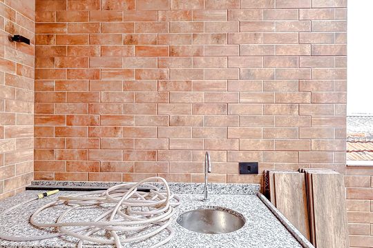 Área externa de casa para alugar com 2 quartos, 100m² em Vila Gomes Cardim, São Paulo
