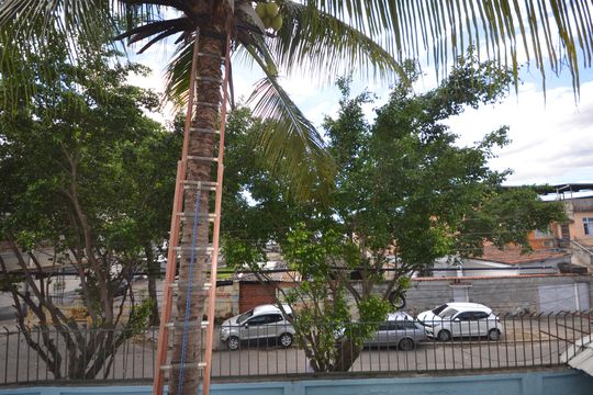 Vista do Quarto 2 de casa para alugar com 7 quartos, 400m² em Guadalupe, Rio de Janeiro