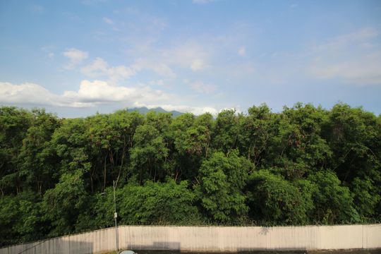 Quarto 1 - Vista de apartamento para alugar com 2 quartos, 50m² em Taquara, Rio de Janeiro
