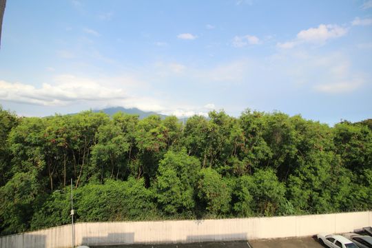 Sala - Vista de apartamento para alugar com 2 quartos, 50m² em Taquara, Rio de Janeiro