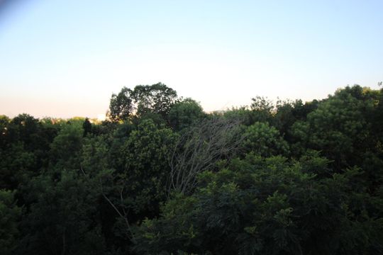 Vista de apartamento à venda com 2 quartos, 50m² em Rubem Berta, Porto Alegre