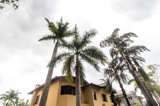 Vista da Rua de casa de condomínio para alugar com 6 quartos, 650m² em Tamboré, Santana de Parnaíba