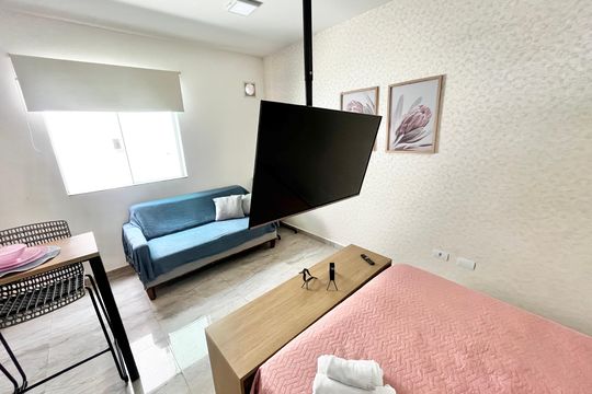 Sala/Quarto de apartamento para alugar com 1 quarto, 27m² em Parada Inglesa, São Paulo