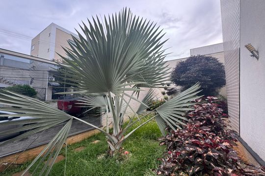 Apartamento à venda com 2 quartos, 45m² em Castelo, Belo Horizonte