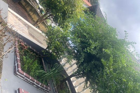 Área externa de casa de condomínio para alugar com 2 quartos, 200m² em Jardim da Gloria, Cotia