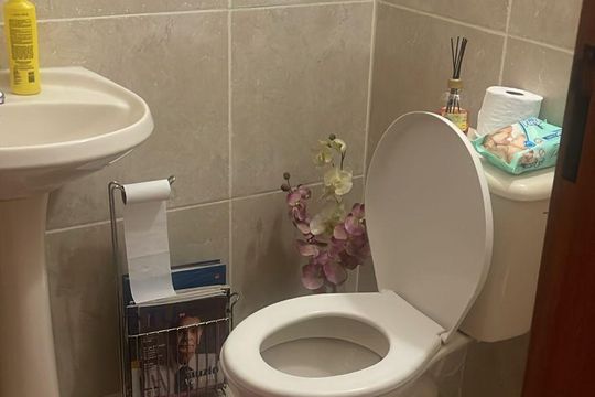 Banheiro de casa de condomínio para alugar com 2 quartos, 200m² em Jardim da Gloria, Cotia