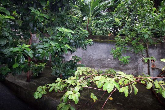 Quintal de casa à venda com 6 quartos, 324m² em Irajá, Rio de Janeiro