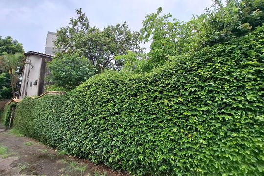 Fachada de casa para alugar com 6 quartos, 400m² em Campestre, Santo André