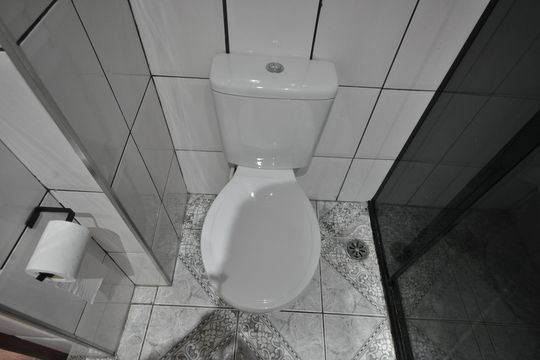 Banheiro de apartamento para alugar com 2 quartos, 53m² em Vila Medeiros, São Paulo